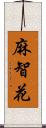 麻智花 Scroll