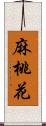 麻桃花 Scroll