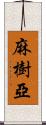 麻樹亞 Scroll