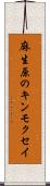 麻生原のキンモクセイ Scroll