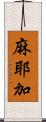 麻耶加 Scroll