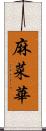 麻菜華 Scroll