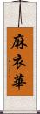 麻衣華 Scroll