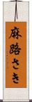 麻路さき Scroll