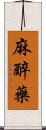 麻醉藥 Scroll