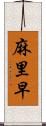 麻里早 Scroll