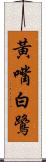 黃嘴白鷺 Scroll