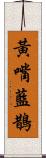 黃嘴藍鵲 Scroll