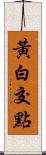 黃白交點 Scroll