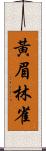 黃眉林雀 Scroll