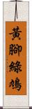 黃腳綠鳩 Scroll