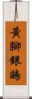 黃腳銀鷗 Scroll