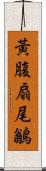 黃腹扇尾鶲 Scroll