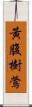 黃腹樹鶯 Scroll