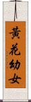 黃花幼女 Scroll