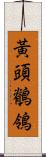 黃頭鶺鴒 Scroll