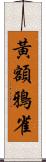 黃額鴉雀 Scroll