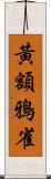 黃額鴉雀 Scroll