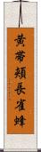 黄帯頬長雀蜂 Scroll