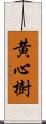 黄心樹 Scroll