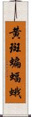 黄斑蝙蝠蛾 Scroll