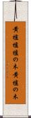 黄櫨 Scroll