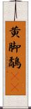 黄脚鷸(rK) Scroll