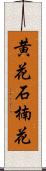 黄花石楠花 Scroll