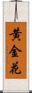 黄金花 Scroll