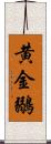 黄金鶸 Scroll