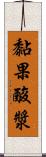 黏果酸漿 Scroll