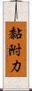 黏附力 Scroll
