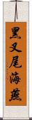 黑叉尾海燕 Scroll