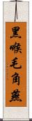 黑喉毛角燕 Scroll