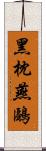 黑枕燕鷗 Scroll