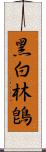 黑白林鵖 Scroll