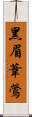 黑眉葦鶯 Scroll
