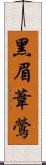 黑眉葦鶯 Scroll