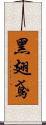 黑翅鳶 Scroll