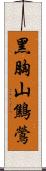 黑胸山鷦鶯 Scroll