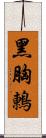 黑胸鶇 Scroll