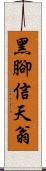 黑腳信天翁 Scroll