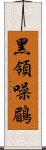 黑領噪鶥 Scroll