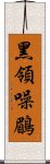 黑領噪鶥 Scroll