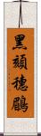 黑頦穗鶥 Scroll