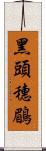 黑頭穗鶥 Scroll