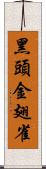 黑頭金翅雀 Scroll