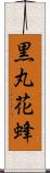 黒丸花蜂 Scroll