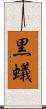 黒蟻 Scroll