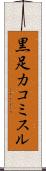 黒足カコミスル Scroll